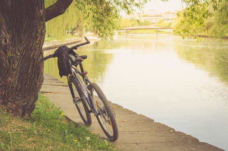 bicycle track in park near river/walk by bicycle near the riverの写真素材
