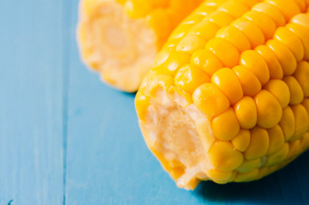 two ears of boiled appetizing corn on a blue background/Close up. Two ears of boiled appetizing corn...