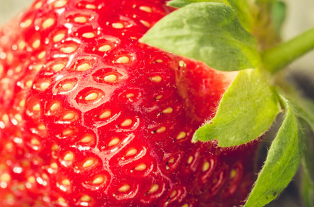 fresh ripe juicy strawberry close up/fresh ripe juicy strawberry close up. Dessert. Gourmet food.の写真素材
