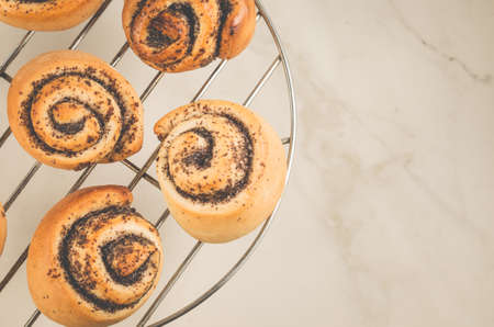 Fresh rolls with poppyの写真素材