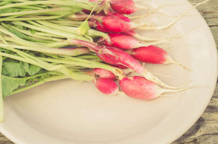 radish in a bowl/frash radish in a bowl, top viewの写真素材