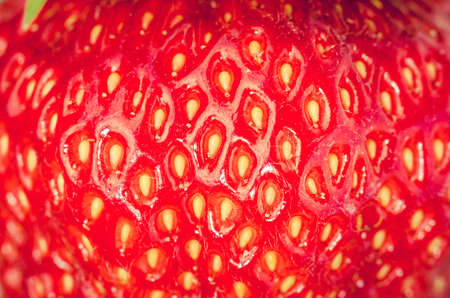 stones close up fresh ripe juicy strawberry/stones close up fresh ripe juicy strawberry. Dessert. Gourmet food.の写真素材