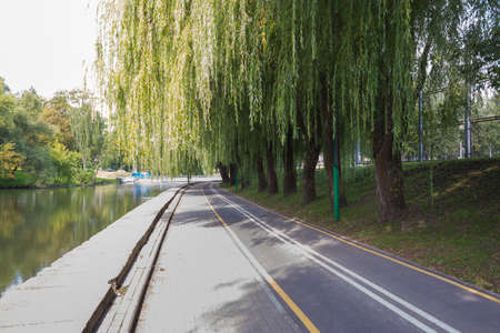 Bike path in the park with green beautiful trees along the river. Beautiful summer landscape.の写真素材