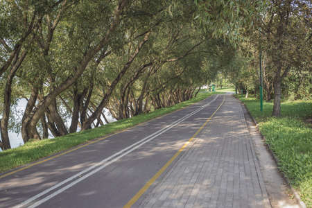 Bike path in the park with green grass and alea trees. Summer day. Beautiful  landscape.の写真素材