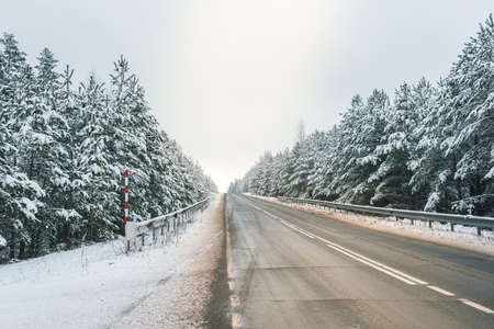 Winter on the road through coniferous forest. Beautiful winter scenery with on the road through forest full of trees covered snow.の写真素材