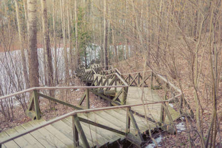 Wooden steps in the forest at a ski resort. Wooden road in the forestの写真素材