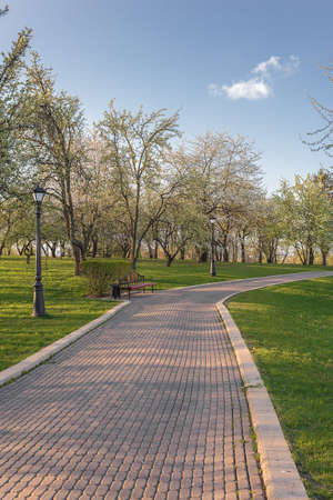 beautiful scenery. Green park on summer day.の写真素材