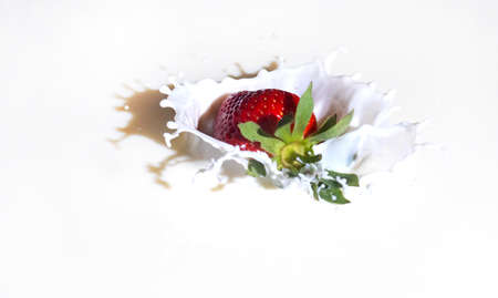 Milk and strawberries.の写真素材