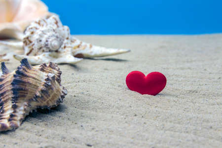 Red heart shape with seashells on the sandy beach. Selective focus on the heart.の写真素材