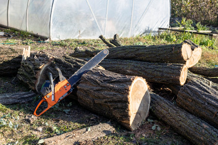 A man cuts a tree with a chainsaw. Preparing firewood for the winter. The chainsaw stands on a sawn tree.の写真素材