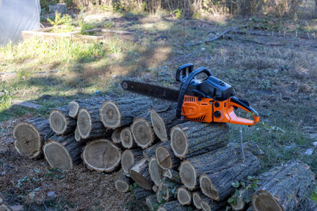 Orange manual petrol chainsaw on a wooden stump. New cutting tool for sawing wood. Forestry.