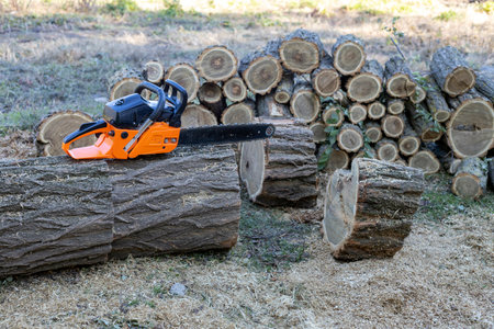 Chainsaw with orange handle and sharp chain teeth on the guide.の写真素材