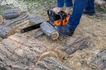 Lumberjack sawing a log with a chainsaw in the garden. Preparing firewood for the winter.の写真素材