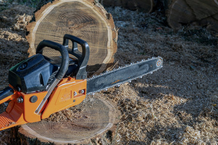 Orange manual petrol chainsaw on a wooden stump. New cutting tool for sawing wood. Forestry.の写真素材