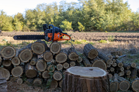 A chainsaw that stands on a log. Cutting wood with a chainsawの写真素材