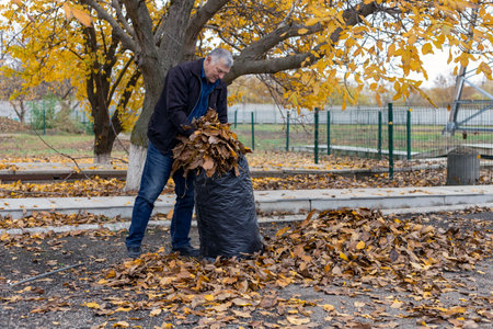 Seasonal raking of leaves in the garden. The concept of cleaning and caring for the garden. A man rakes faded and colorful leaves in the garden. Autumn cleaning before winterの写真素材