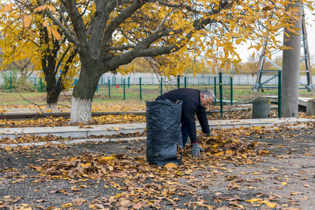 A man collects yellow leaves and removes their bags for compostingの写真素材