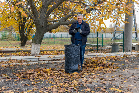 Autumn. Yellow leaves in a pile, black bag full of dry yellow leaves.の写真素材