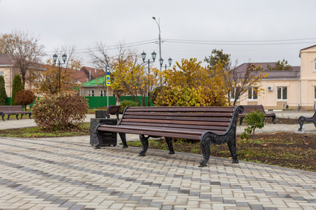 Simple benches on a paved square in an empty autumn park.の写真素材