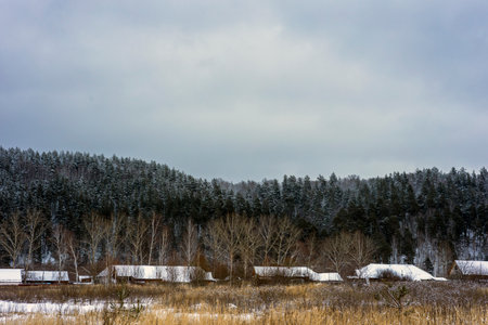 Majestic winter landscape. frosty pines under the snow. the concept of the christmas holiday, an unusual wonderful landscape. fantasy winter background.の写真素材