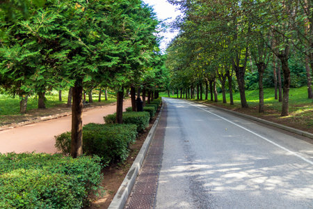 park. Mowed lawns, green trees and beautiful roads. Autumn landscape of Kislovodsk city park.の写真素材
