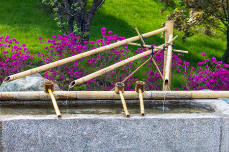 Cleansing by washing hands at the fountain. Water flows from bamboo cane.の写真素材