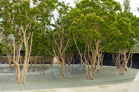 New modern multi-level public park. The water area is surrounded by a fountain, deciduous trees, palm trees and artificial ponds in the early morning in spring.の写真素材