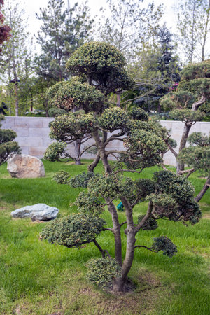 view of a modern public park with trees and flower beds in spring.の写真素材