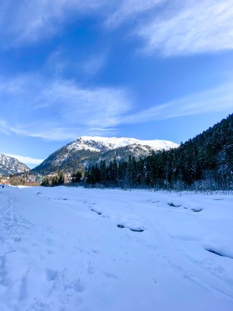Alpine landscape with sun mountains, forest and snow.の写真素材