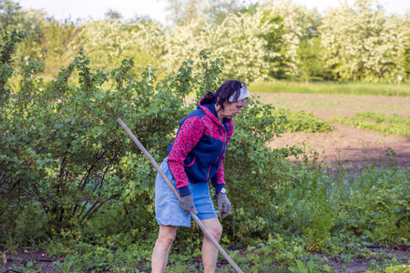Woman gardener in the garden.の写真素材