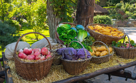 Cabbage, beets, tomatoes and watermelons in a village cartの写真素材
