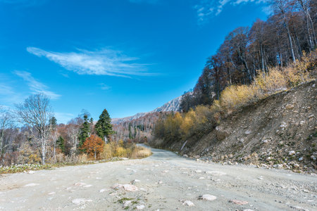 View of a country road. Mountains in the distance. Autumn landscape. Travel and tourism by car in the mountains. Beautiful nature and mountains in the distance.の写真素材