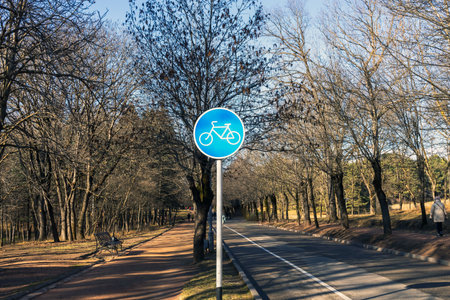 Sunny autumn landscape in the park. Road for electric vehicles and bike path.の写真素材