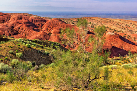 Green bush on a background of red mountains and blue skyの写真素材