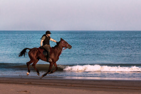 Riders on horseback rides on the beach. sunset. seascape. Fujairah, UAE - January 4, 2017. Sandy beach is located between the shore of the Indian Ocean and the Hajar Mountains. Directly on the beach there is a diving center, where classes are held for botのeditorial素材