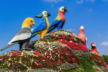 Dubai, UAE - January 5, 2017. Dubai Miracle Garden -Sculptures of birds parrots. Dubai Miracle...