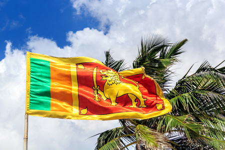 National flag of Sri Lanka with a lion develops in the wind against the backdrop of a palm tree and a blue sky with cloudsの写真素材