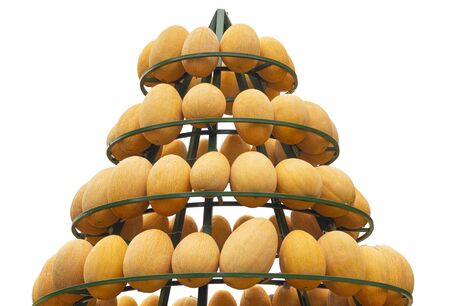 Harvest melon laid out in a large pyramid on a white background. Isolatedの写真素材