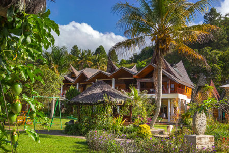 Traditional Indonesian style house next to a coconut palm tree in a tropical forest against a blue sky with clouds on a sunny dayの写真素材