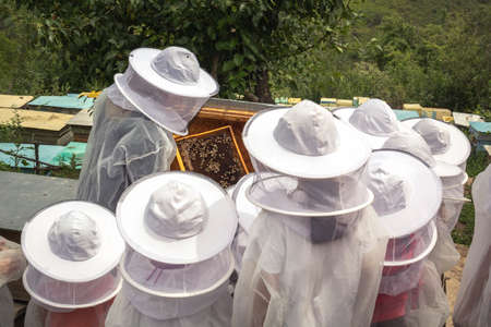 Beekeeper in a protective suit pulls out a frame with bees and honey from a bee hive and shows it to a group of children. Beekeeping in natureの写真素材