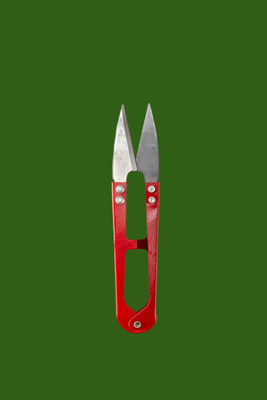 Tailor's snipper for cutting threads on neutral green background. isolated