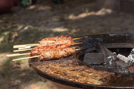 Meat kebabs on wooden skewers are baked on coals on the grate of a street fast food restaurant. Close-upの写真素材