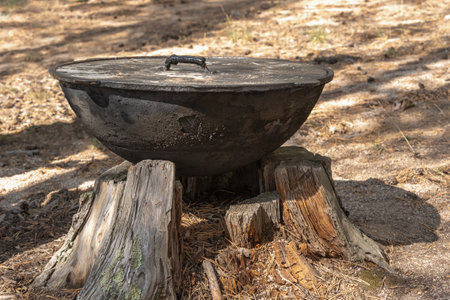 Cast iron cauldron for cooking stands on a wooden stump in the forest. Preparing for a picnicの写真素材