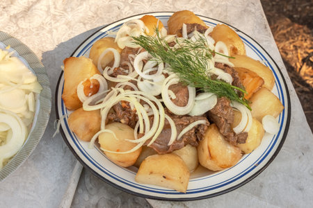 Large pieces of fried meat and potatoes with onion rings in a plate. Street food. Asian cuisineの写真素材