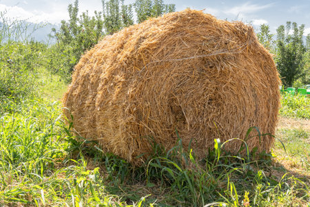 Haystack against the backdrop of an orchard, blue sky and mountains. Close-upの写真素材