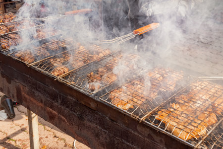 Pieces of tender and juicy chicken are cooked on a grill grate over an open fire and charcoal. Barbecue, picnicの写真素材