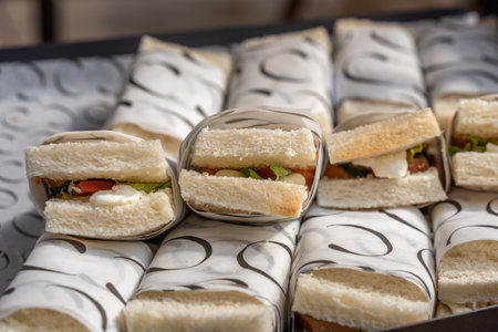 Sandwiches with meat, fish and herbs on a tray. Street foodの写真素材