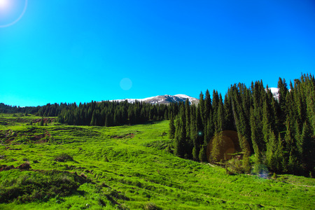 On hiking trails to high mountains and down to green meadowsの写真素材