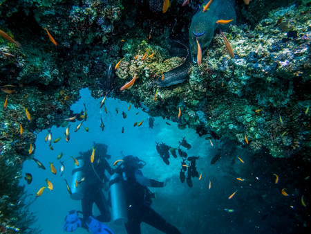 Divers exploring the reefの写真素材
