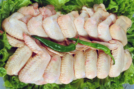 Raw chicken on a lettuceの写真素材